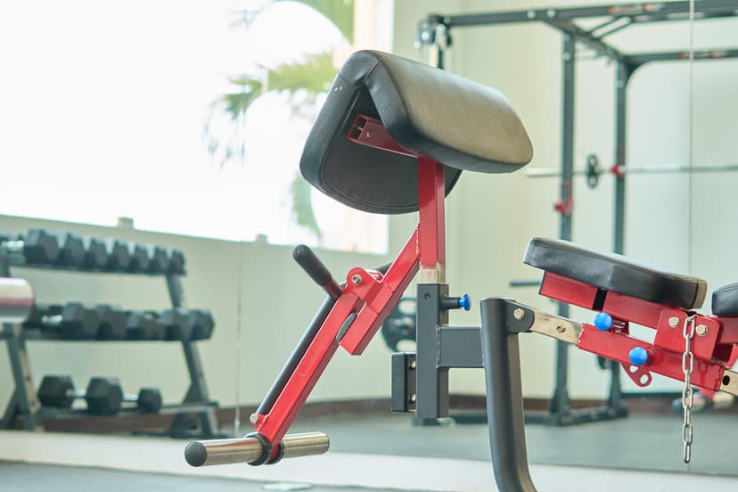 Close-up of a red and black preacher curl bench in a gym, with a row of dumbbells and other exercise equipment visible in the background. The gym setting is well-lit, with natural light coming through the windows.